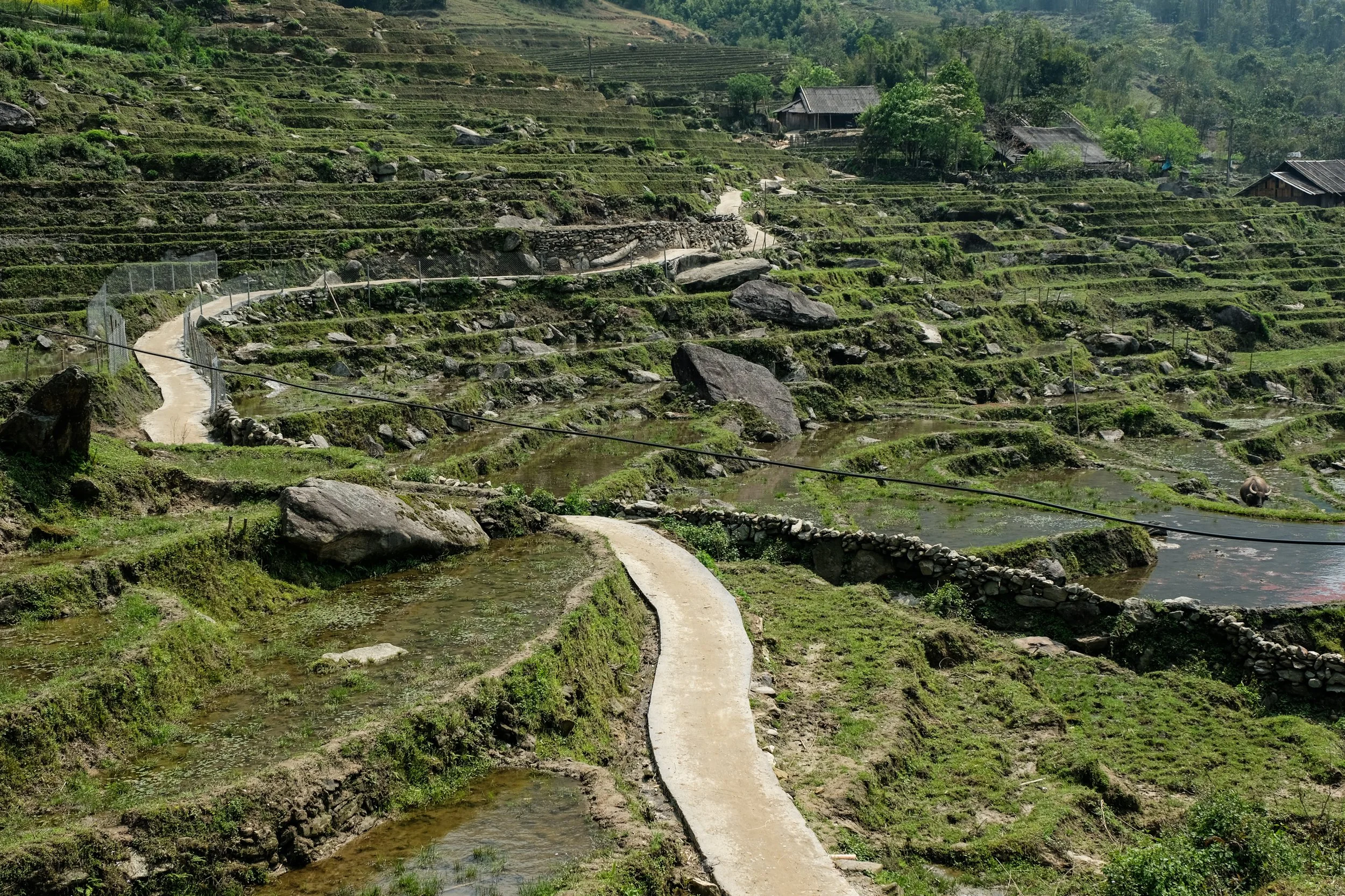 Traditional walking paths have been paved with concrete