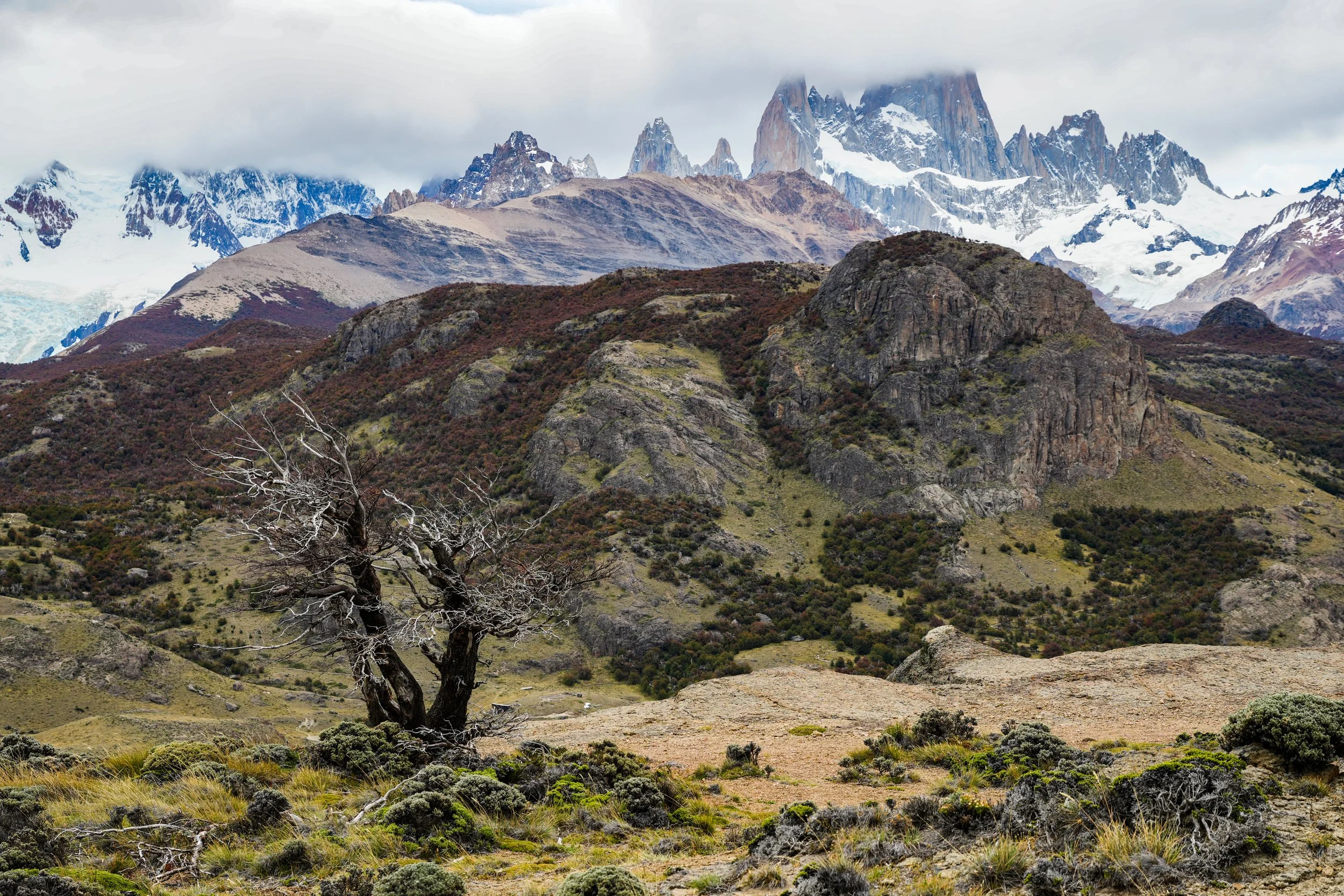 Patagonia-03998.jpg