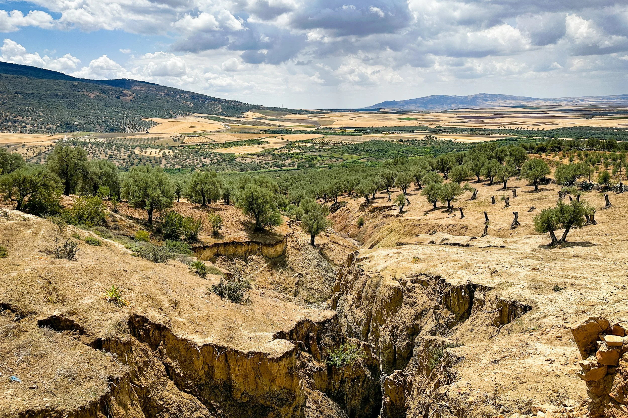 Morocco-8689.jpg