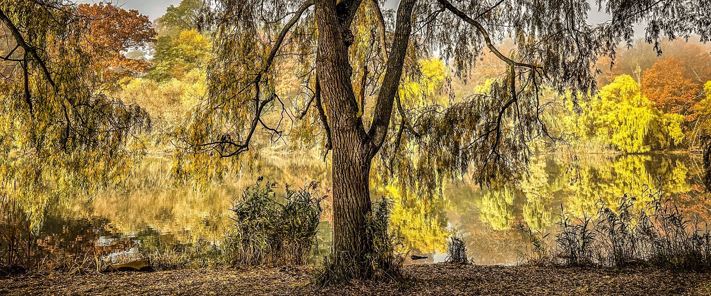 20221104-HP+Landscape-5124 copy.jpg