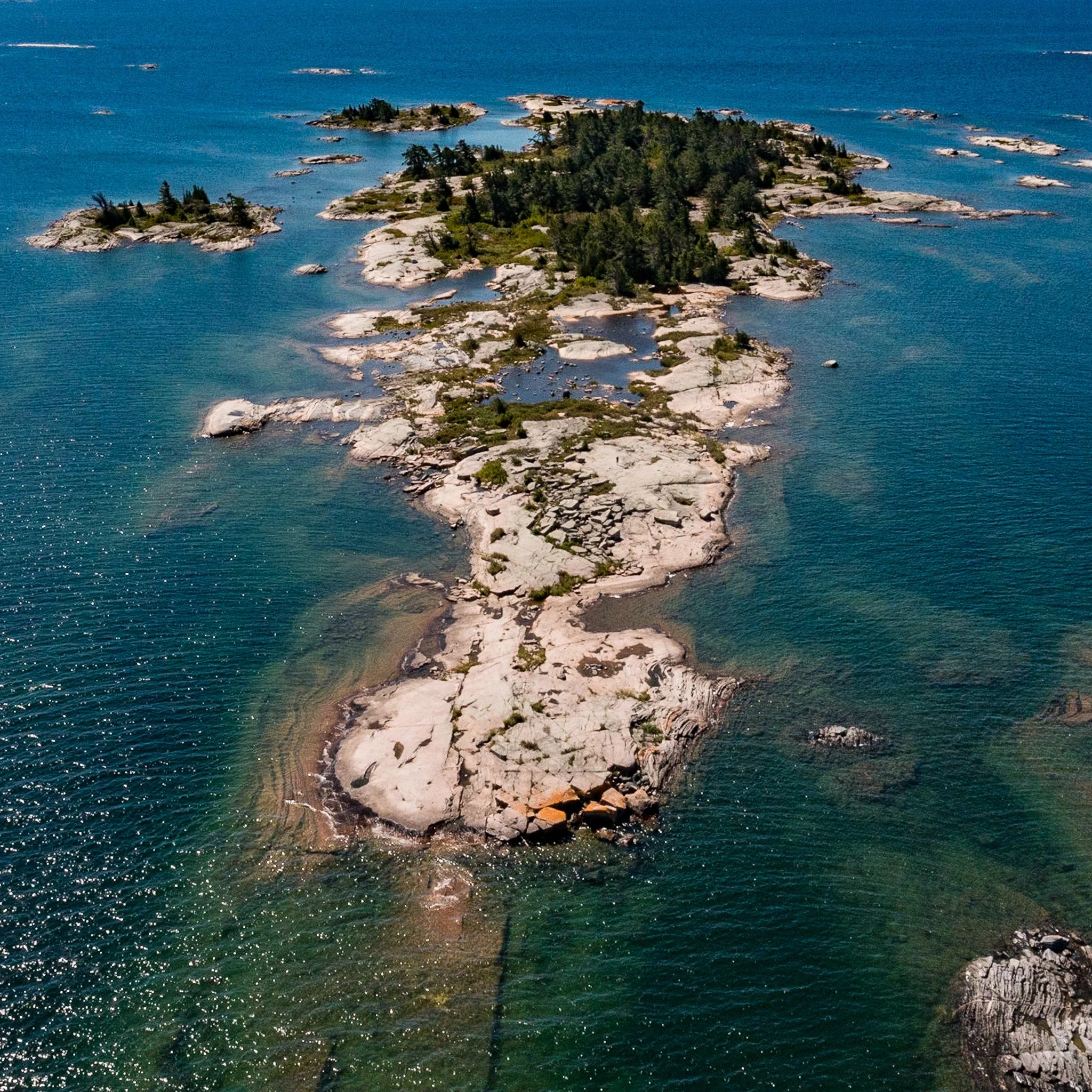 Snake Island