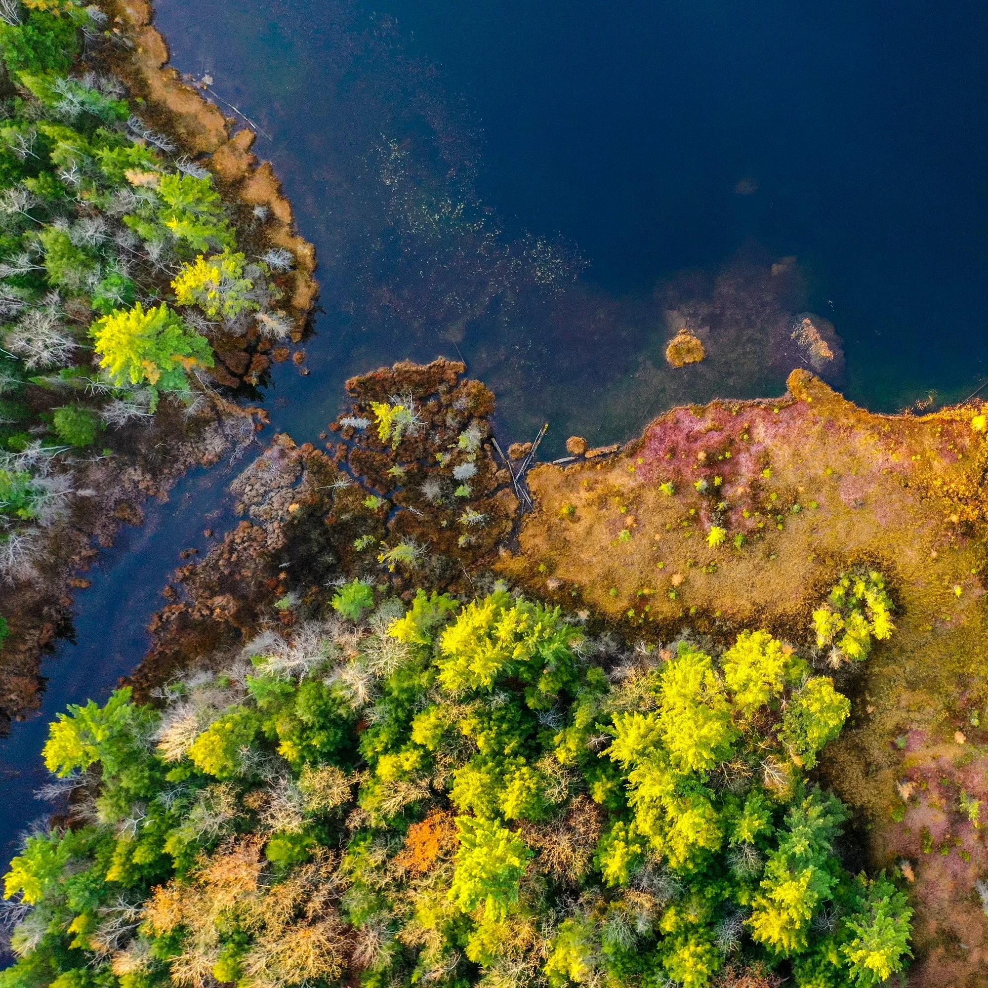 Aerial Landscape-8.jpg