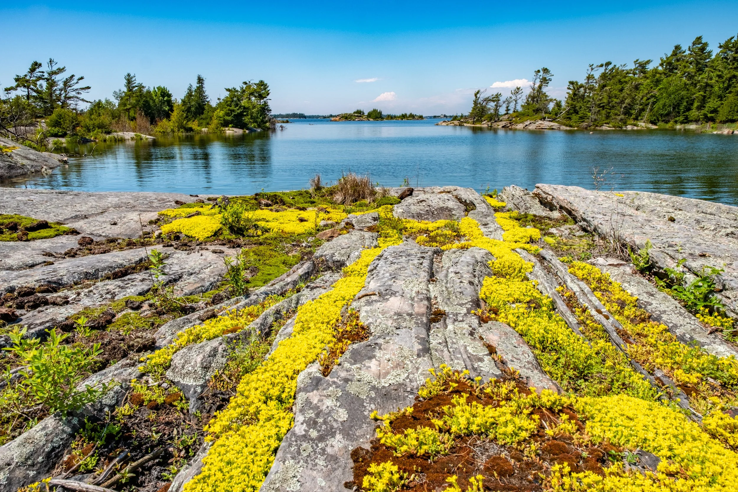 GB Landscape-4016.jpg