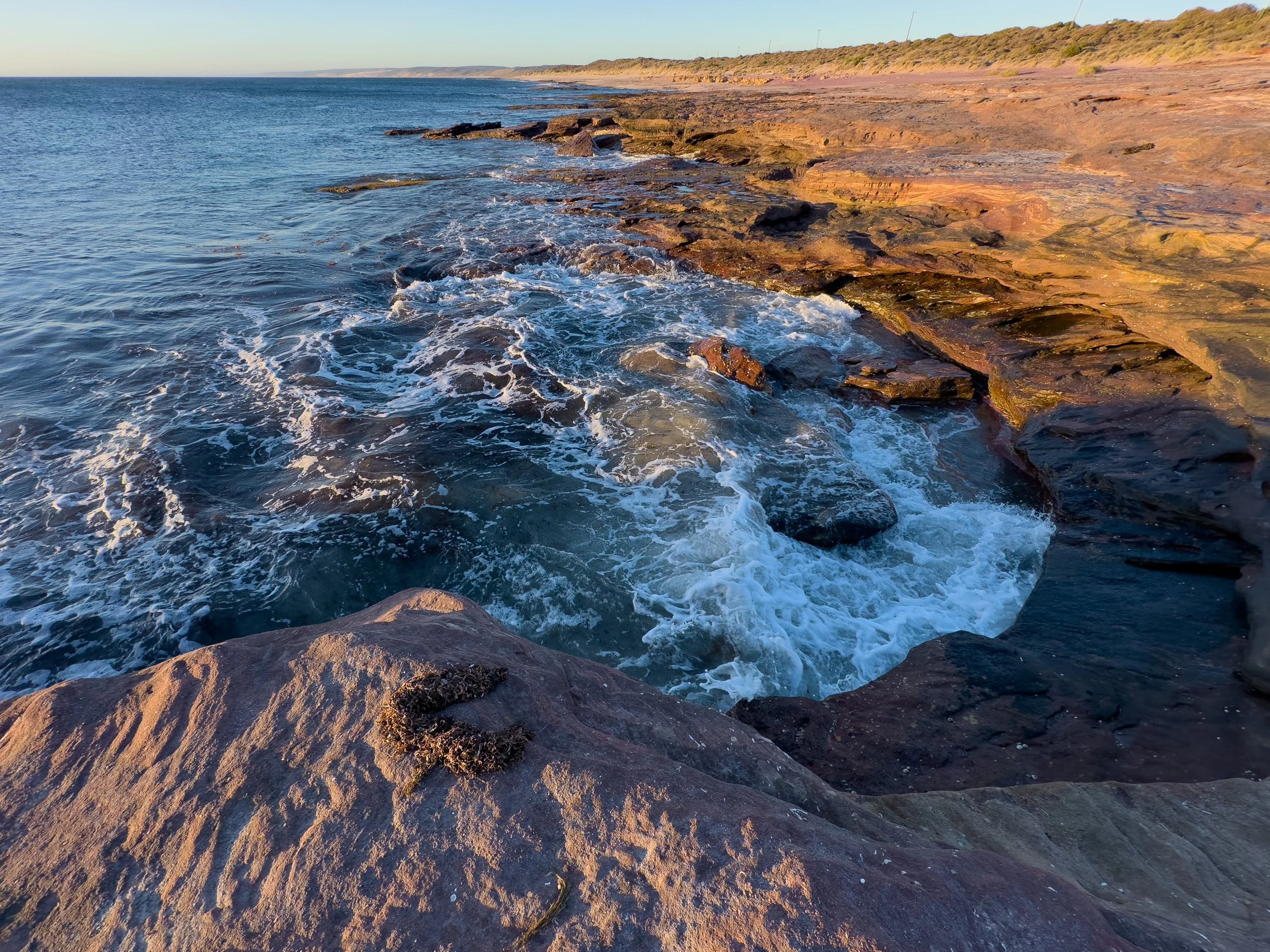 Western Australia-1655.jpg