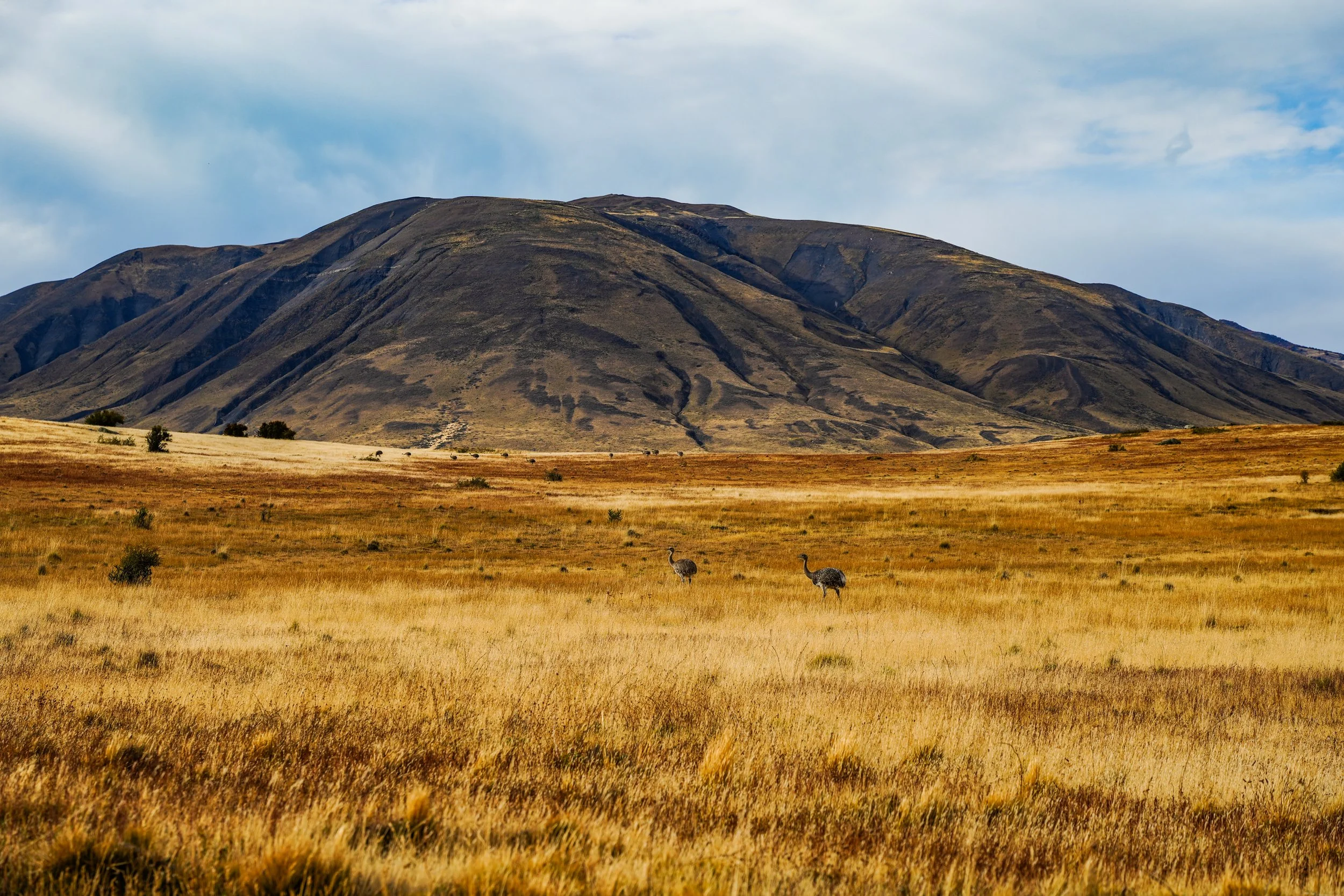 Patagonia-03890.jpg