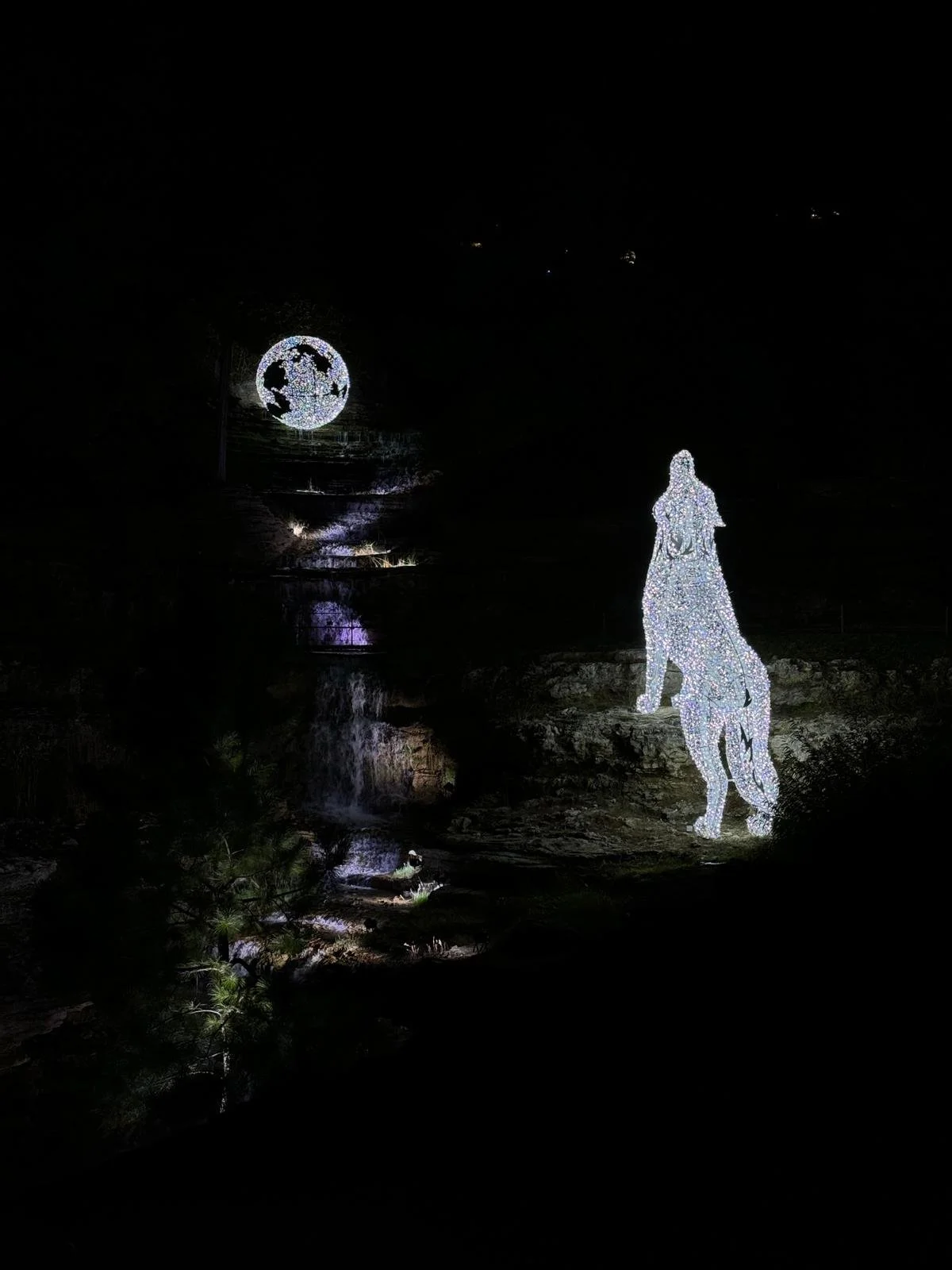 Wolf.jpg