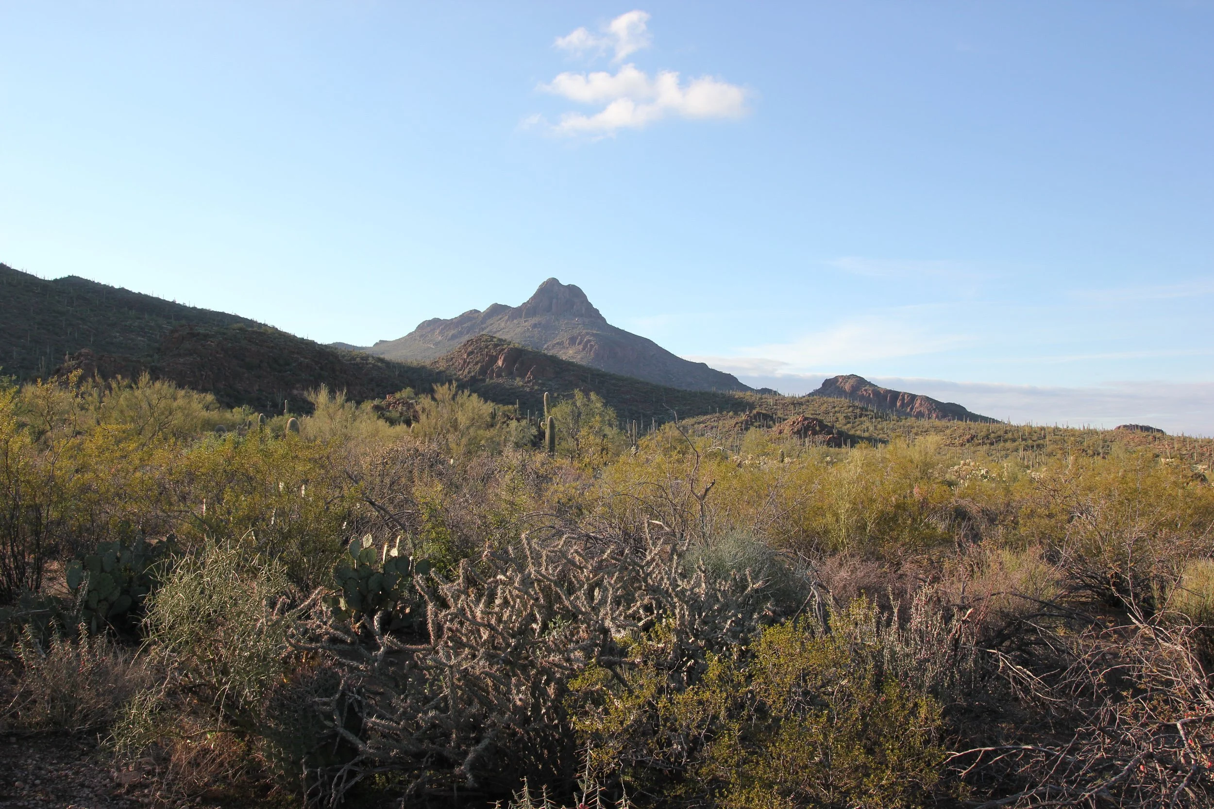 IMG_8049.jpg