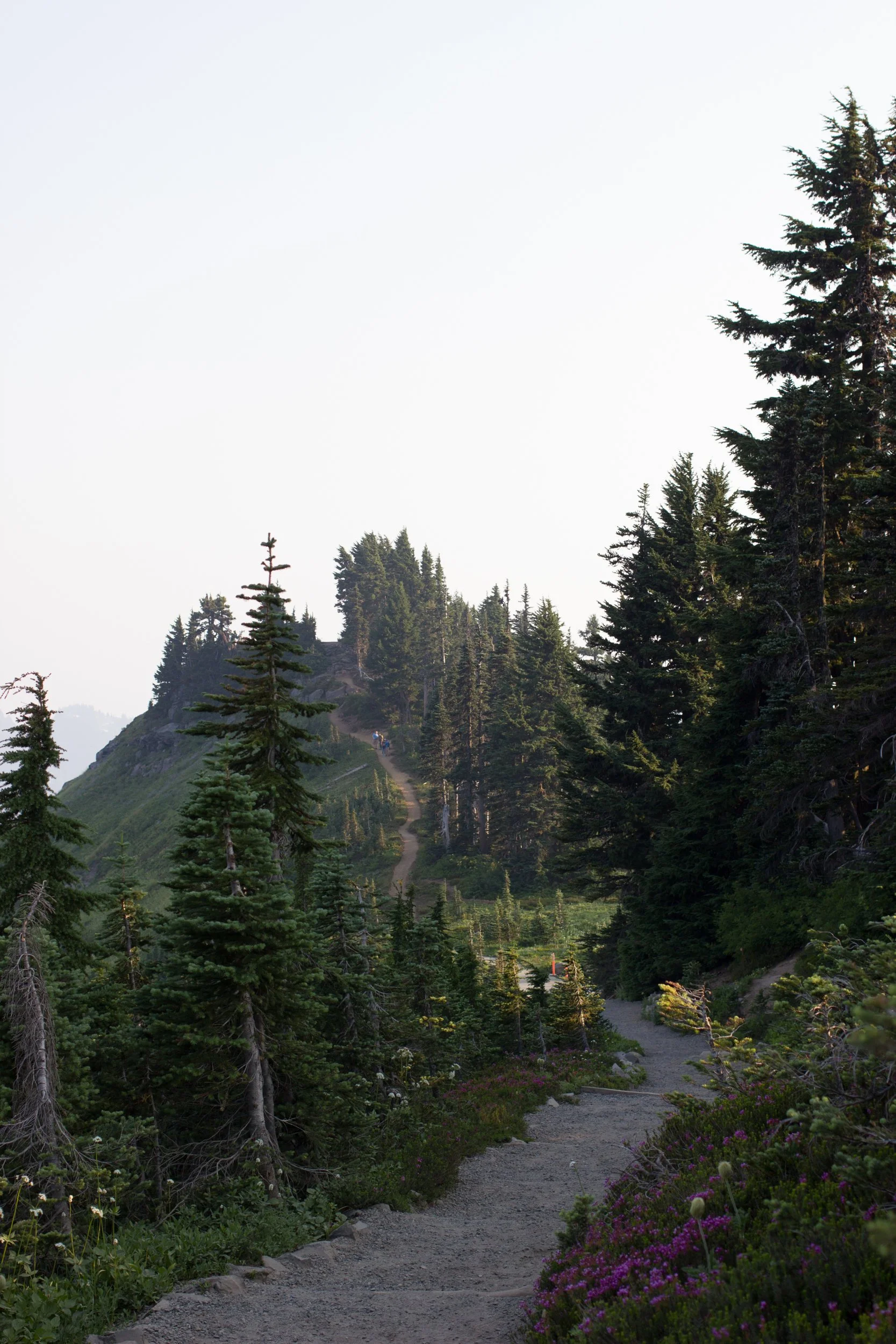 IMG_3224.jpg