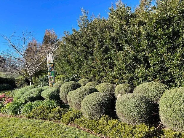 Into the winter tidy up work now ❄️❄️