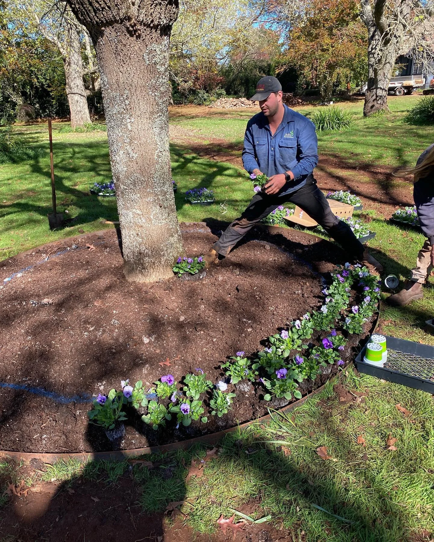 5000 Tulips and  3500 annuals in for this year. It&rsquo;s going to be a stunner 😎