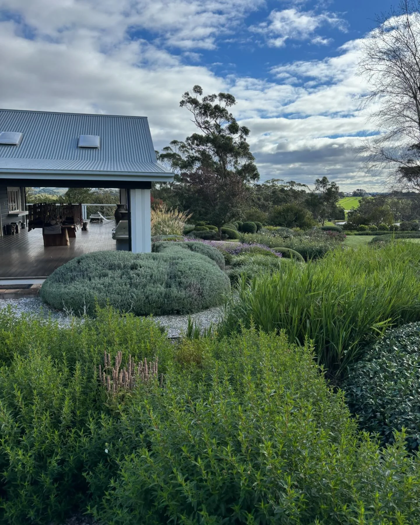 The Silverdale Farm cottage garden in autumn 🍂🍂