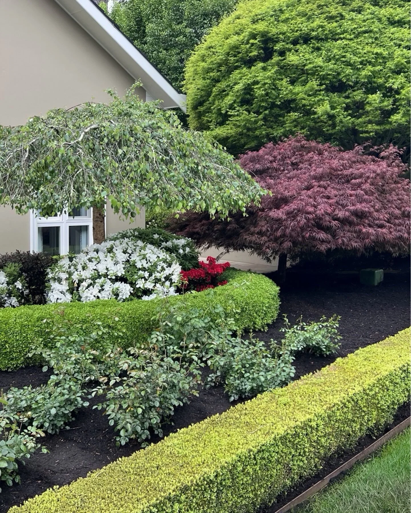 Curves, blocks, spheres, columns and mounds 🌿
Every garden has its own shapes, and spring is when we bring them back into line. Swipe through to see some of our favourites from around the Highlands, then watch the last slide to see how it&rsquo;s do