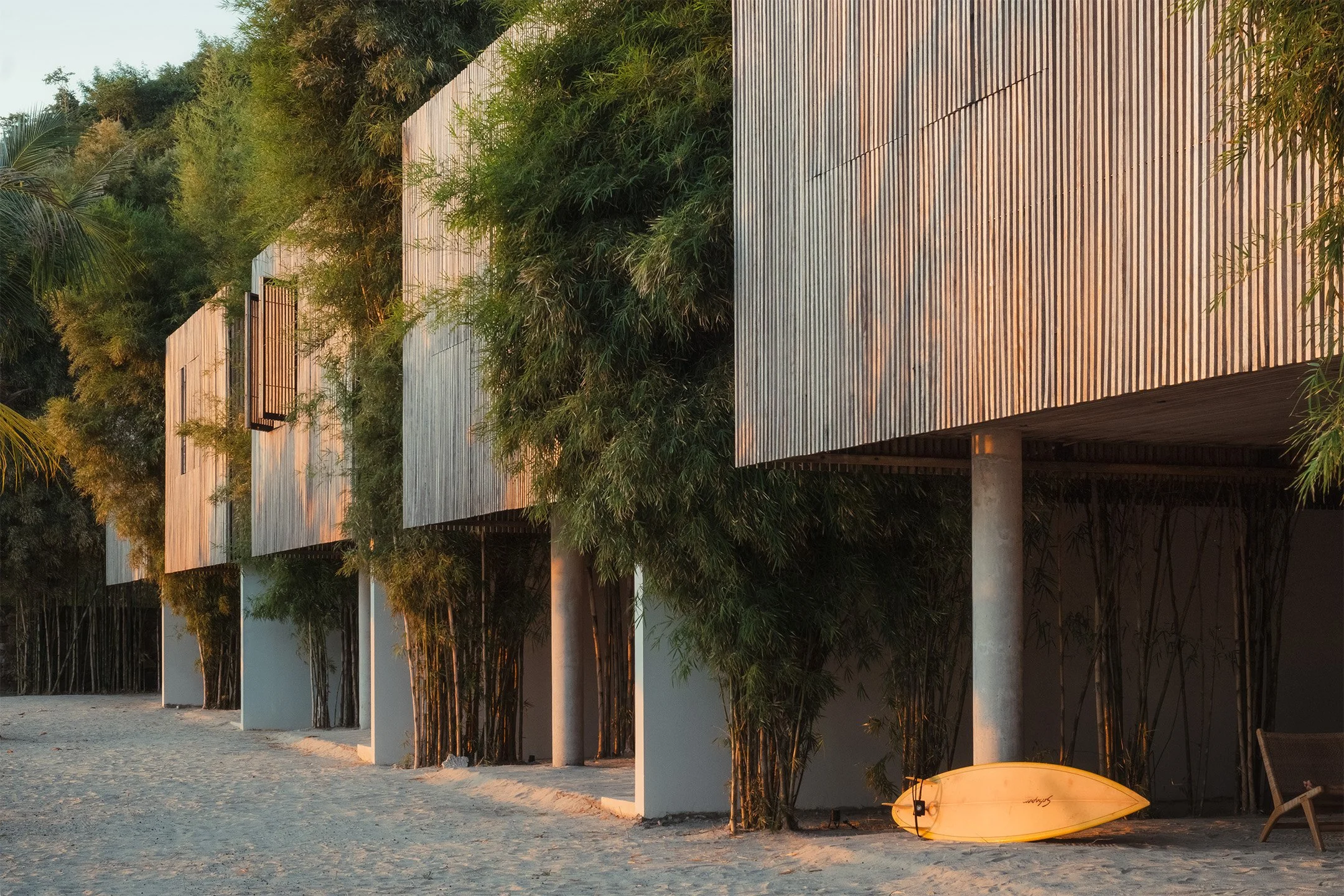Modern building with vertical wooden slat exterior walls surrounded by lush green trees features a sandy ground and a yellow paddleboard leaning against a wooden bench in the bottom right corner. The scene is lit with warm sunlight.