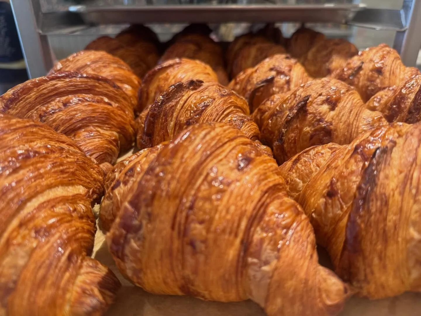 Today businesses and consumers are being asked to shut down to show solidarity with the Minnesotans who have suffered the wrath of ICE&rsquo;s paramilitary tactics. TBND fully supports the shutdown concept, though we are taking a different tact. The 