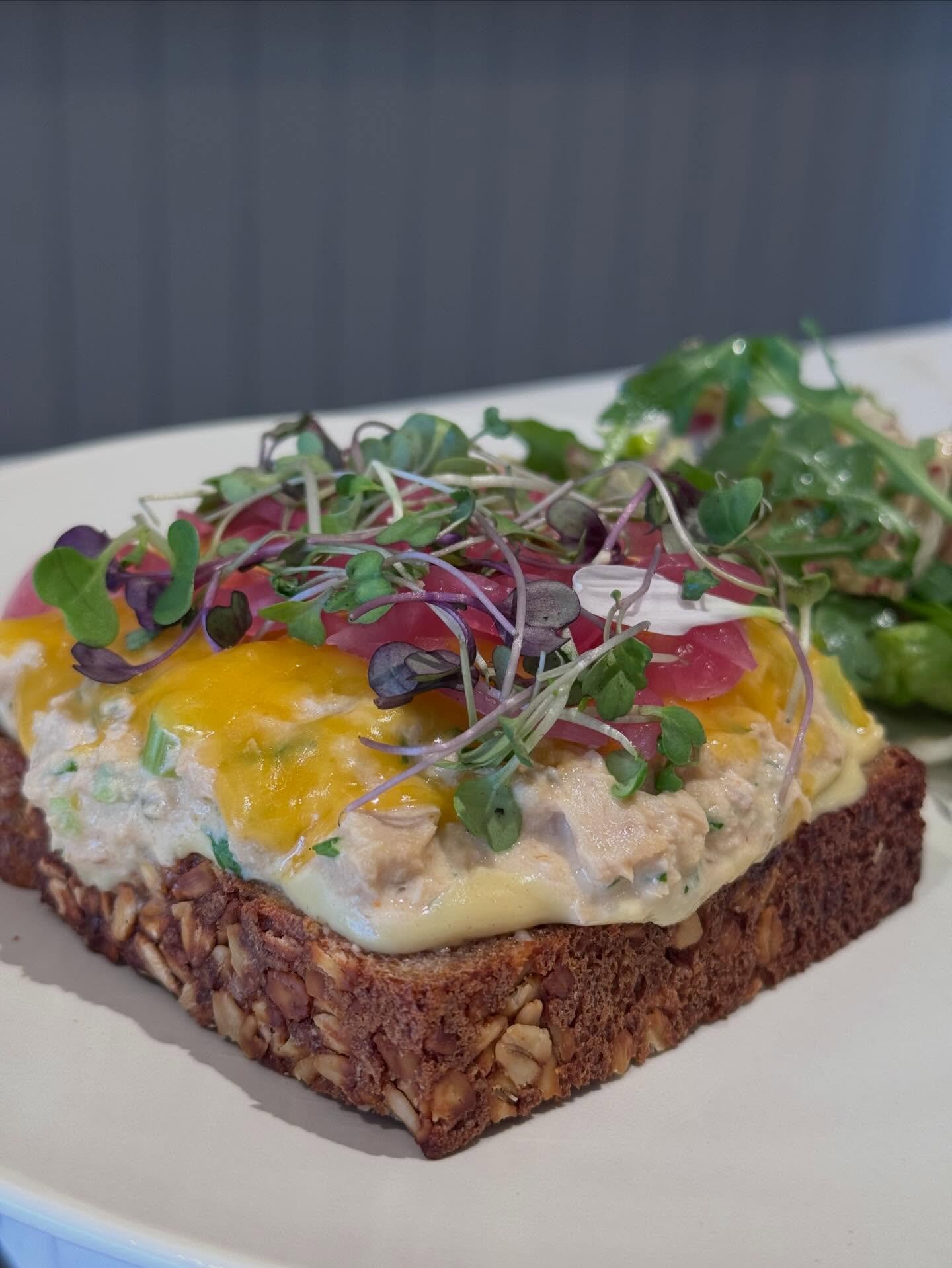 Sandwich Special! Tuna Melt 🫠

We love our Honey Whole Wheat Spelt Bread so much that we needed to create another sandwich for it. Line &amp; pole caught tuna, celery, scallions, capers, Dijon, melted cheddar, pickled onions &amp; micro greens serve