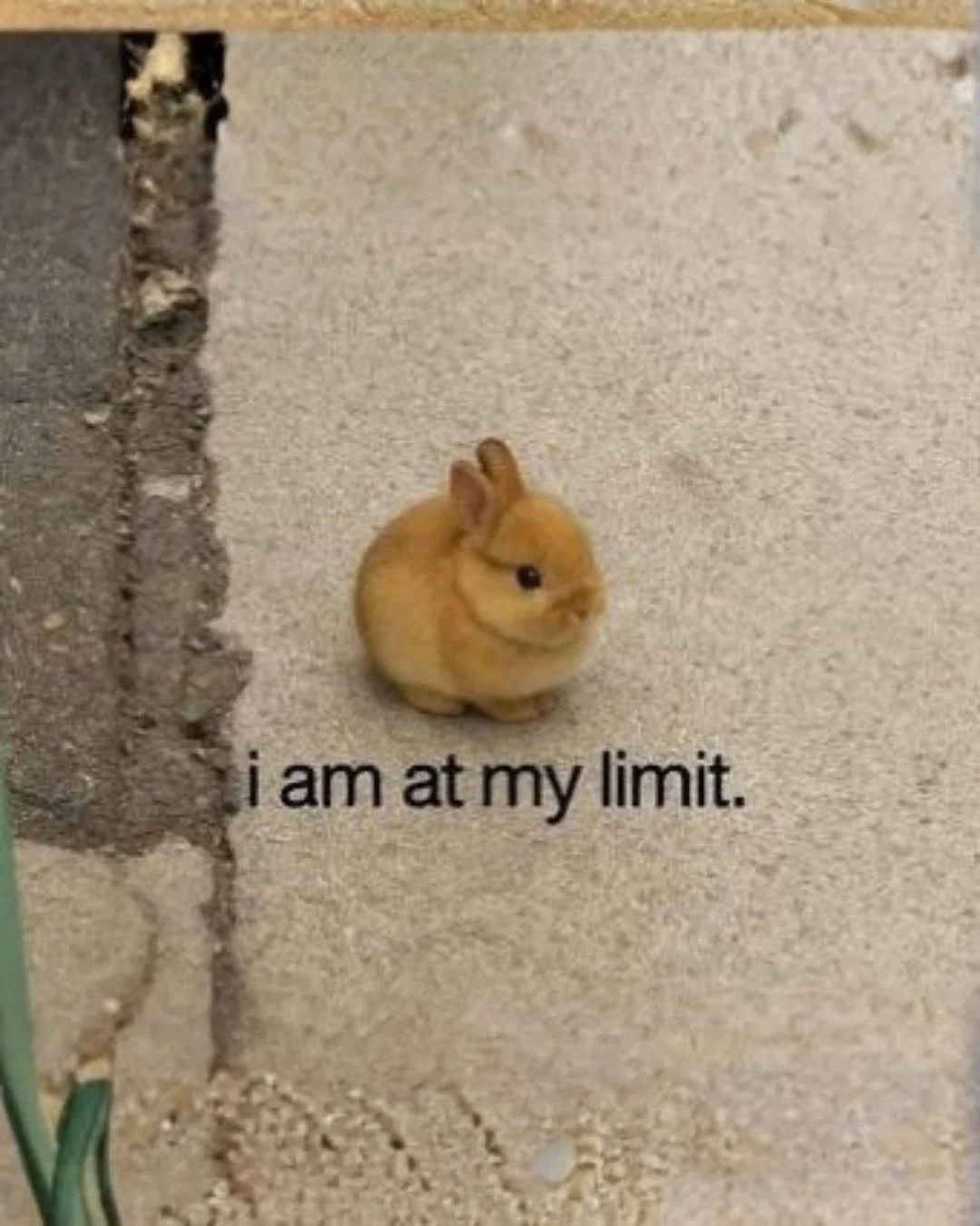 It&rsquo;s #MemeMonday again &mdash; here are some memes to give you a little break from your feed 
Take a pause, have a laugh, and remember that caring for your mental health can be as simple as a smile.
Scroll through and tag yourself in the commen