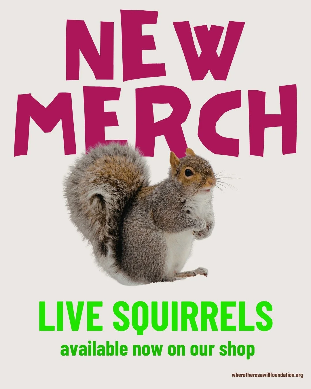 We are so excited to share our newest merch with you guys! You can get your own live squirrel available now on our website! Local pickup only 🐿️💚

#aprilfools