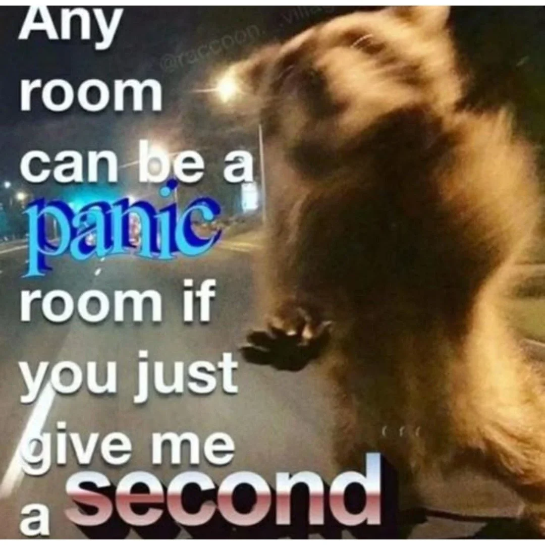 #mememonday is making it's return and this week it is featuring some funny-looking trash pandas! 🦝 We hope you can find a little time to laugh this week!