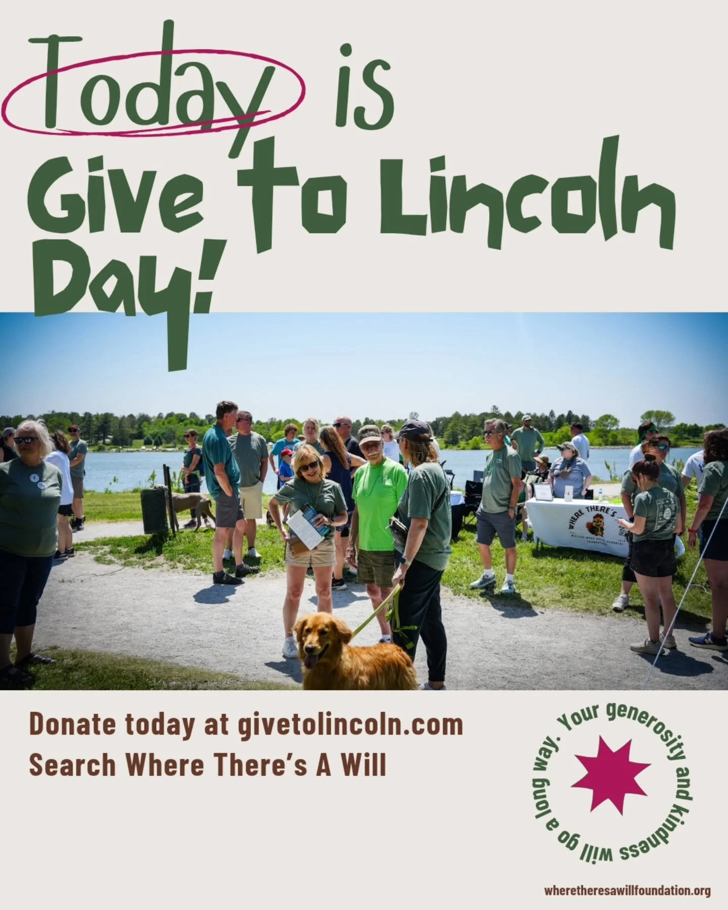 Today is the day! Give to Lincoln Day! Today is the last day to donate and have your donation proportionally matched! Donate today to support mental health, suicide prevention and PANS/PANDAS awareness