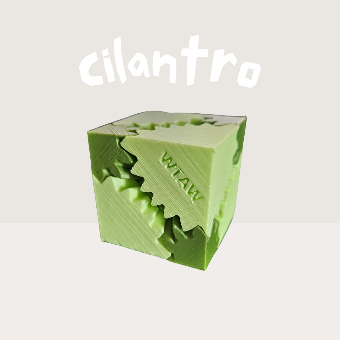 Pastel green 3D-printed gear fidget cube labeled "WTAW", featuring interlocking gears designed for sensory stimulation, fidgeting, and anxiety relief.