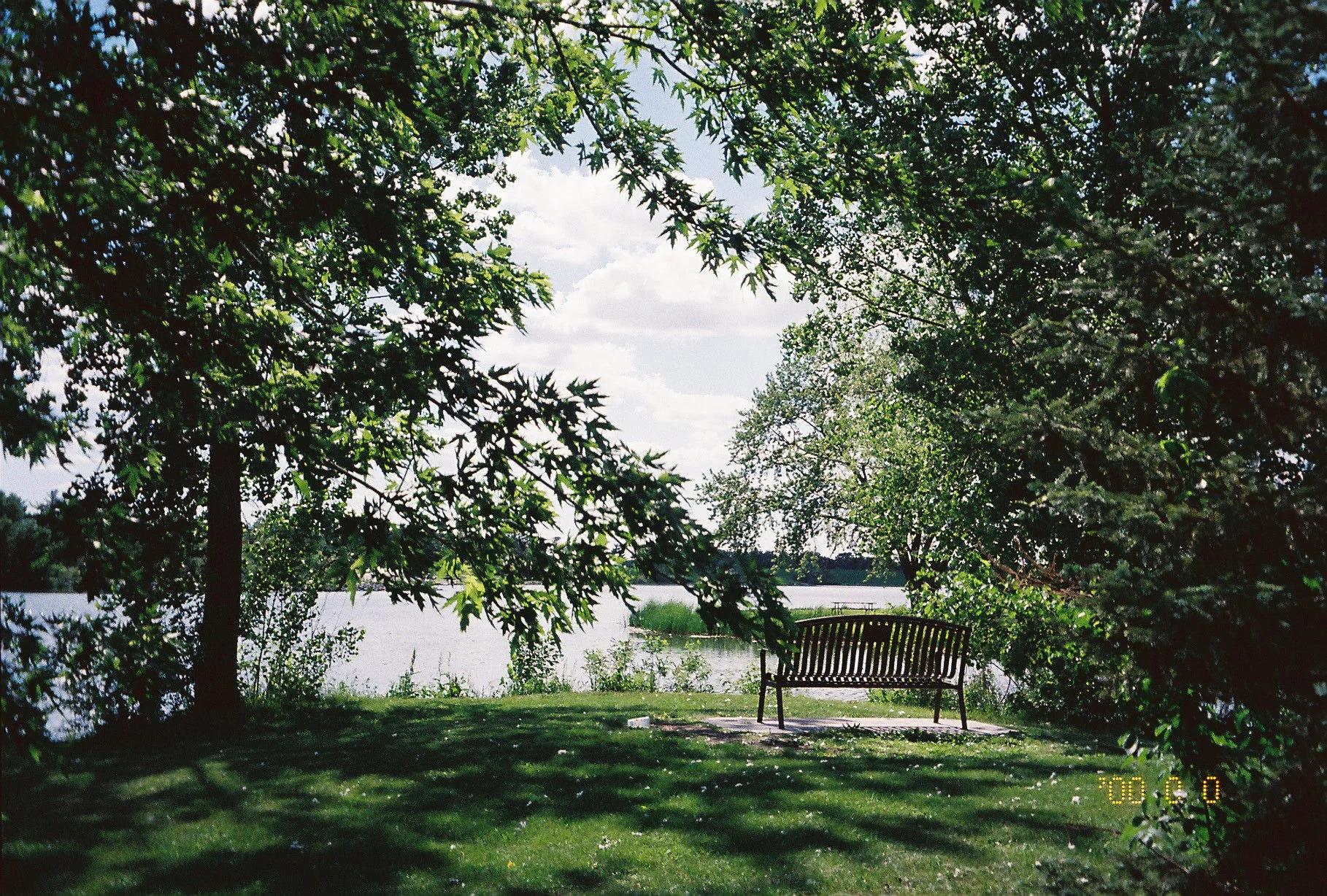 Landscape on film of Will's Bench looking toward Holmes Lake surrounded by green grass and trees