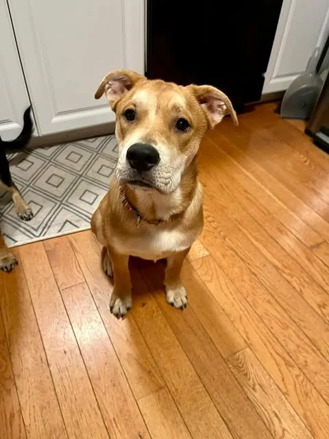 bella6.jpg