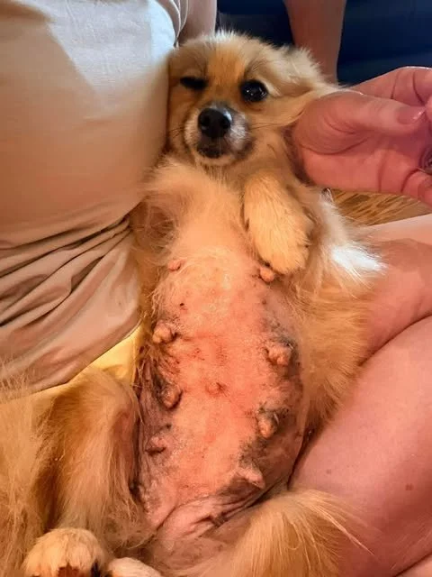 image.jpeg