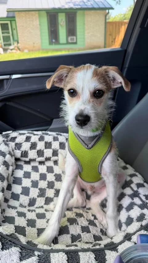 Meet Brooks