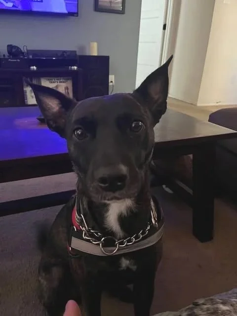 Meet Aubrey 