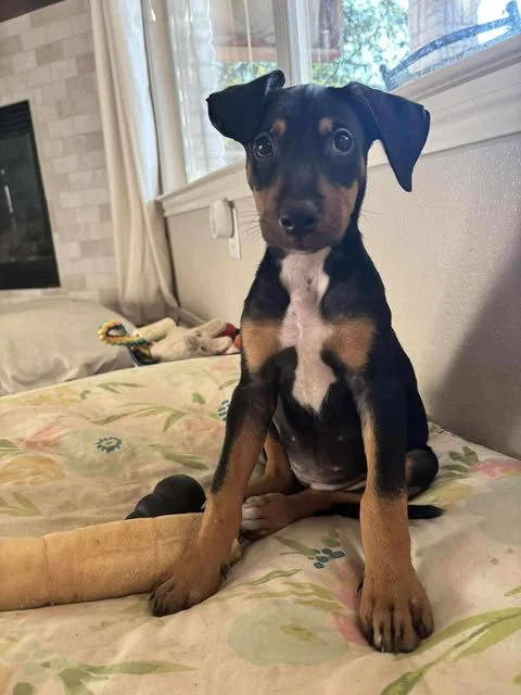 lulu5.jpg