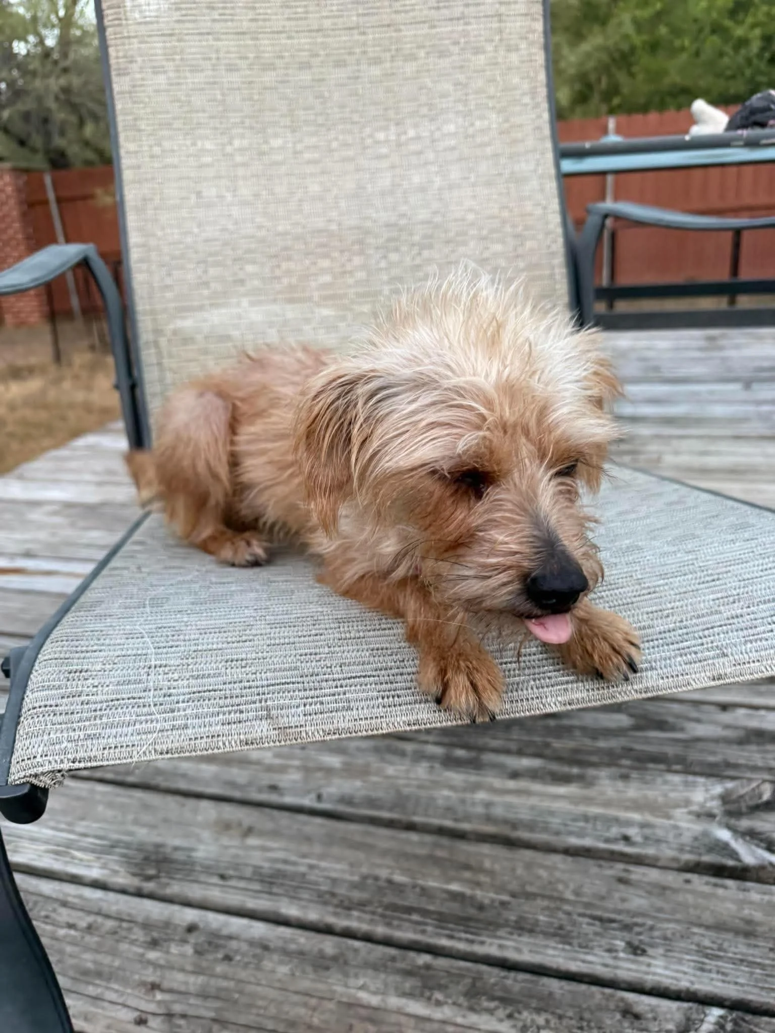 miley11.jpg