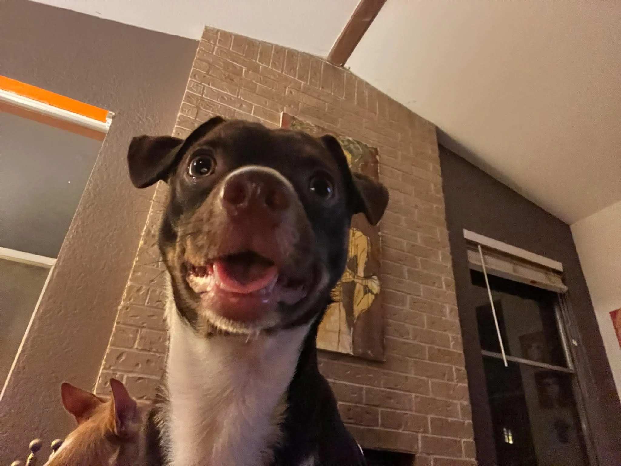 Meet Lenny