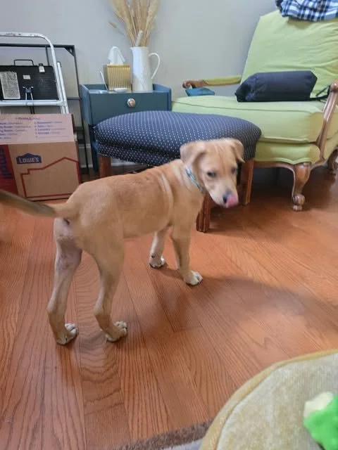 nugget9.jpg