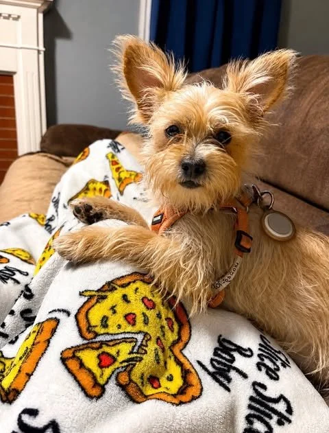 Meet Chuck