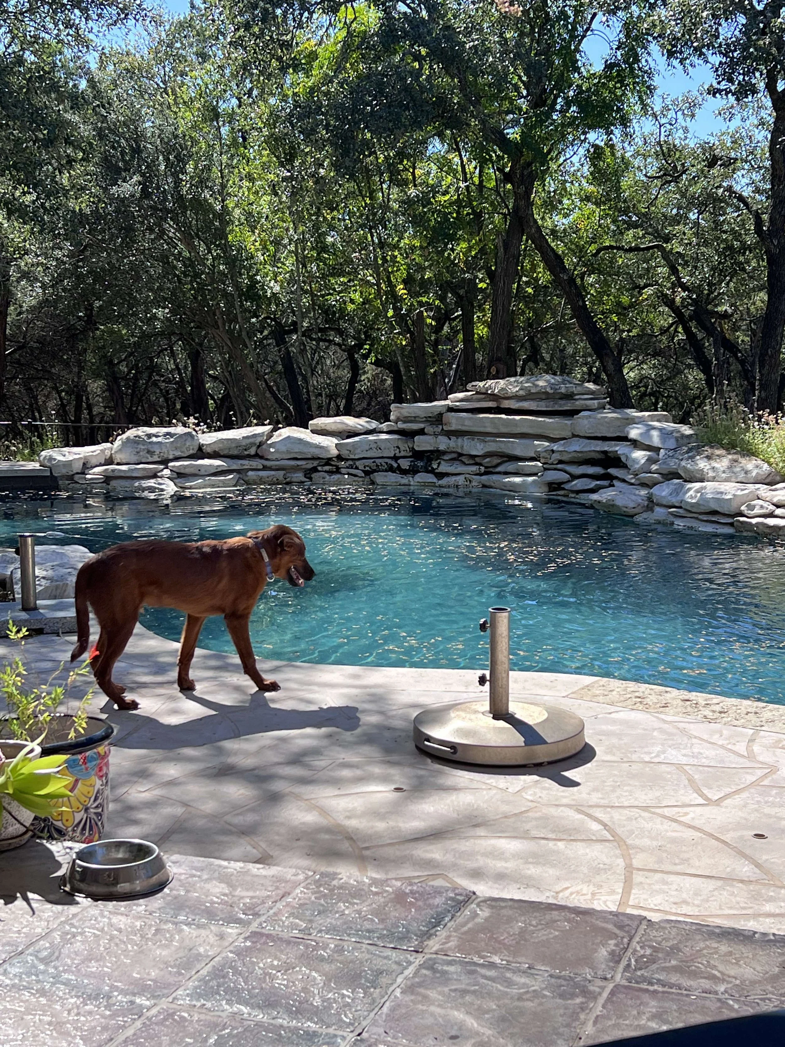 clifford10.jpg