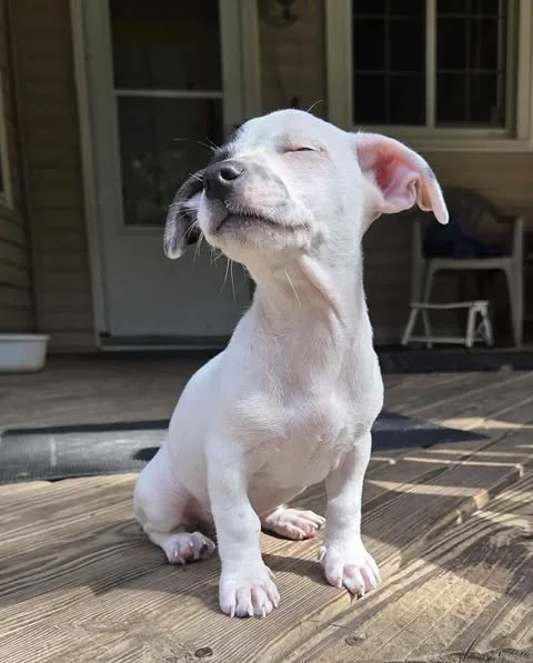 smudge3.jpg