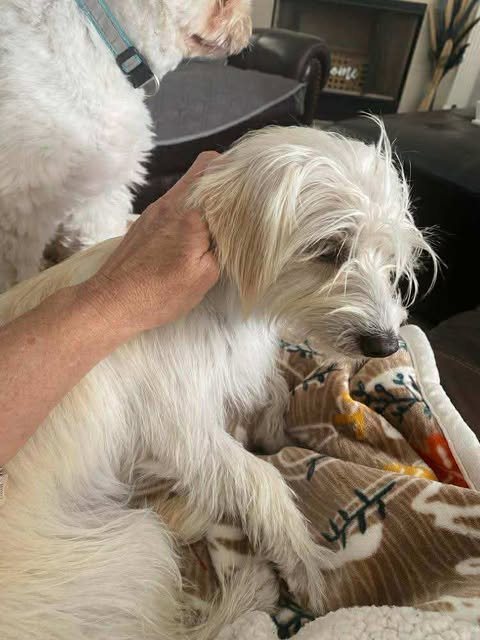 gigi1.jpg