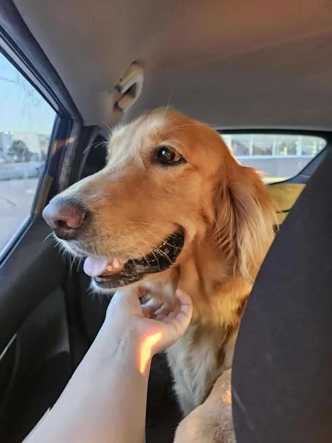 bella1.jpg