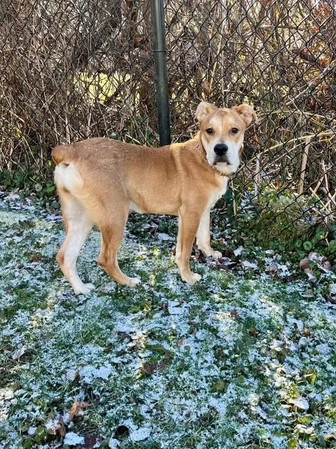bella16.jpg