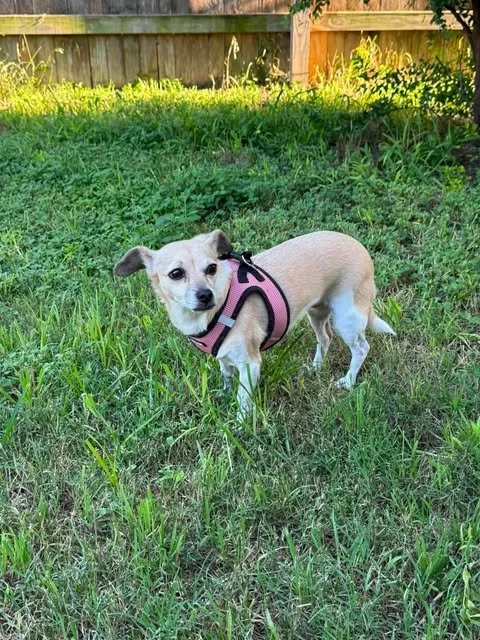 lucy5.jpg