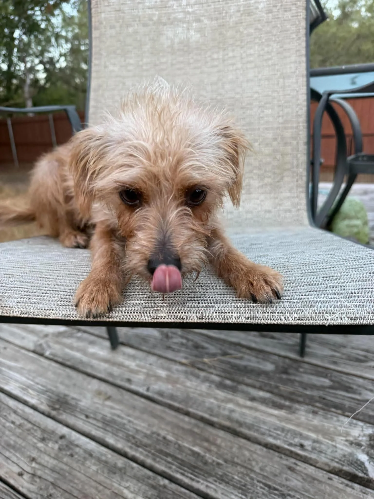 miley3.jpg
