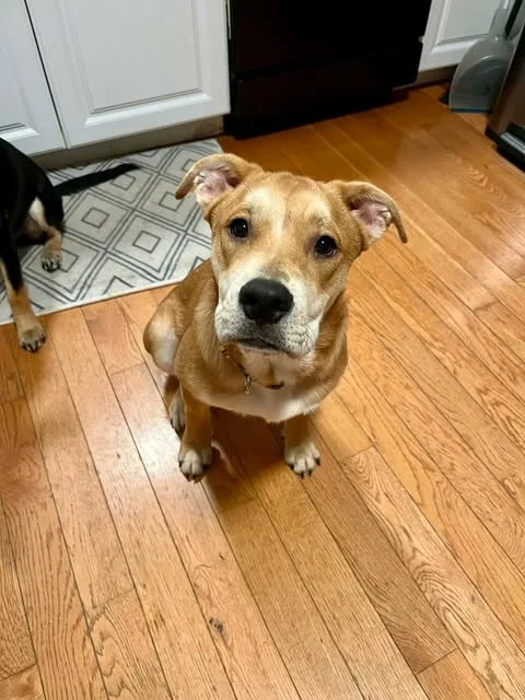 bella4.jpg