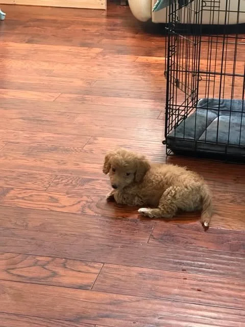 teddy7.jpg