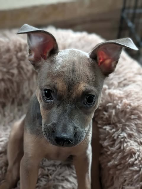 Meet Fina