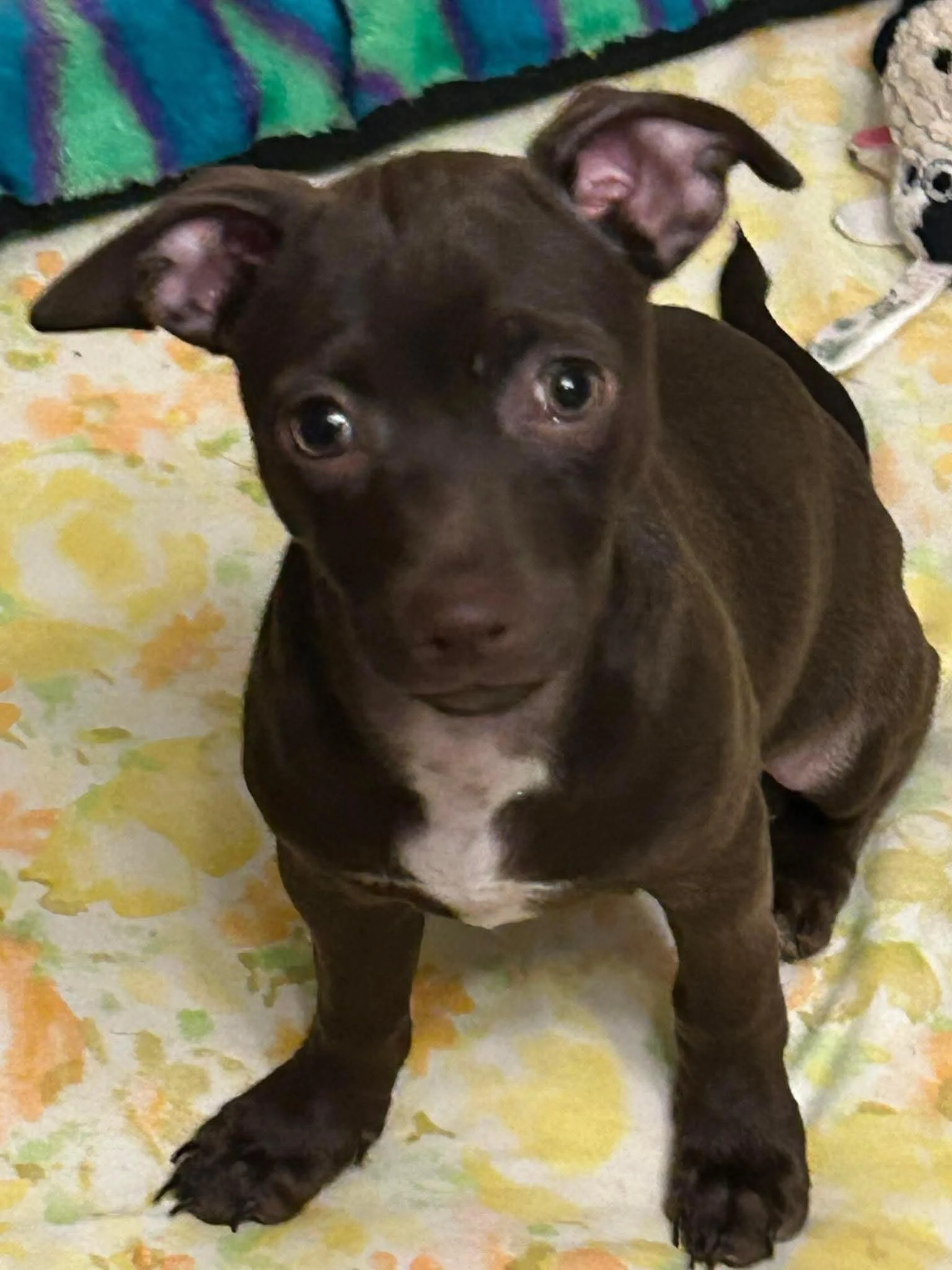 Meet Kate