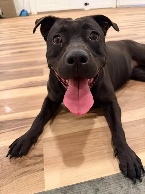 Meet Sabrina