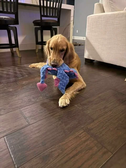 bella4.jpg