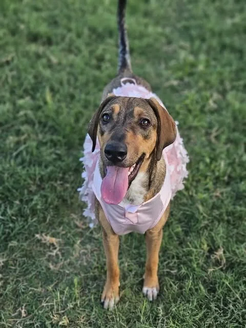 cookie1.jpg