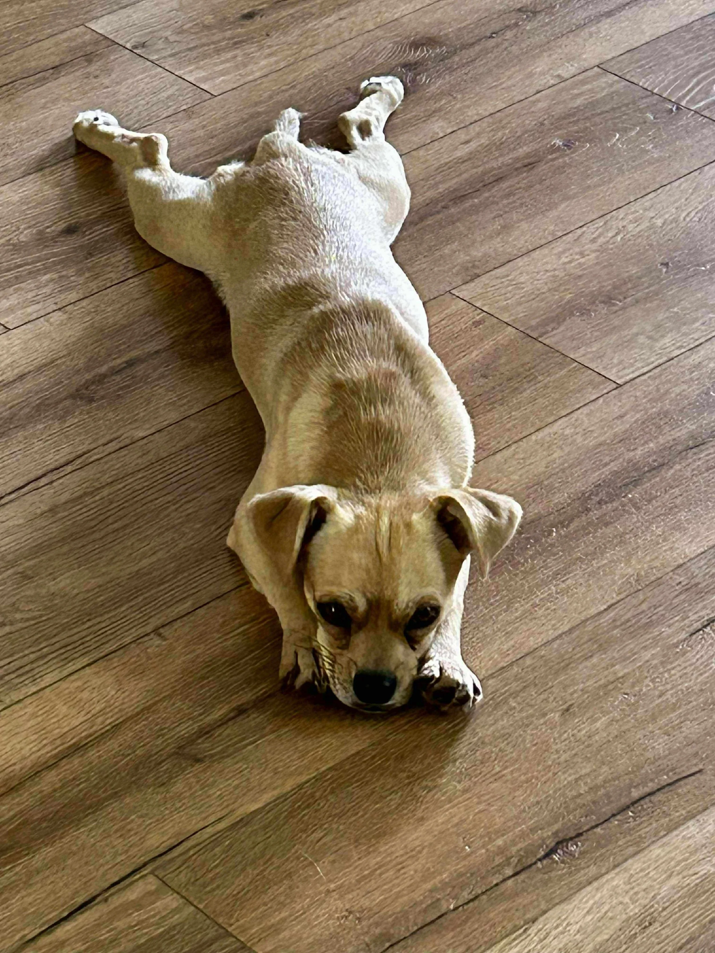 peanut5.jpg