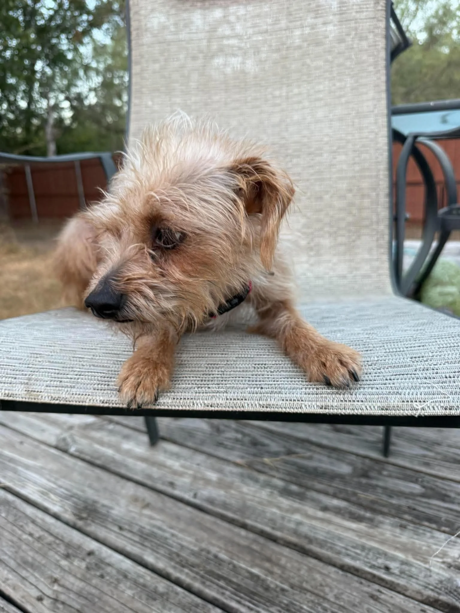 miley4.jpg